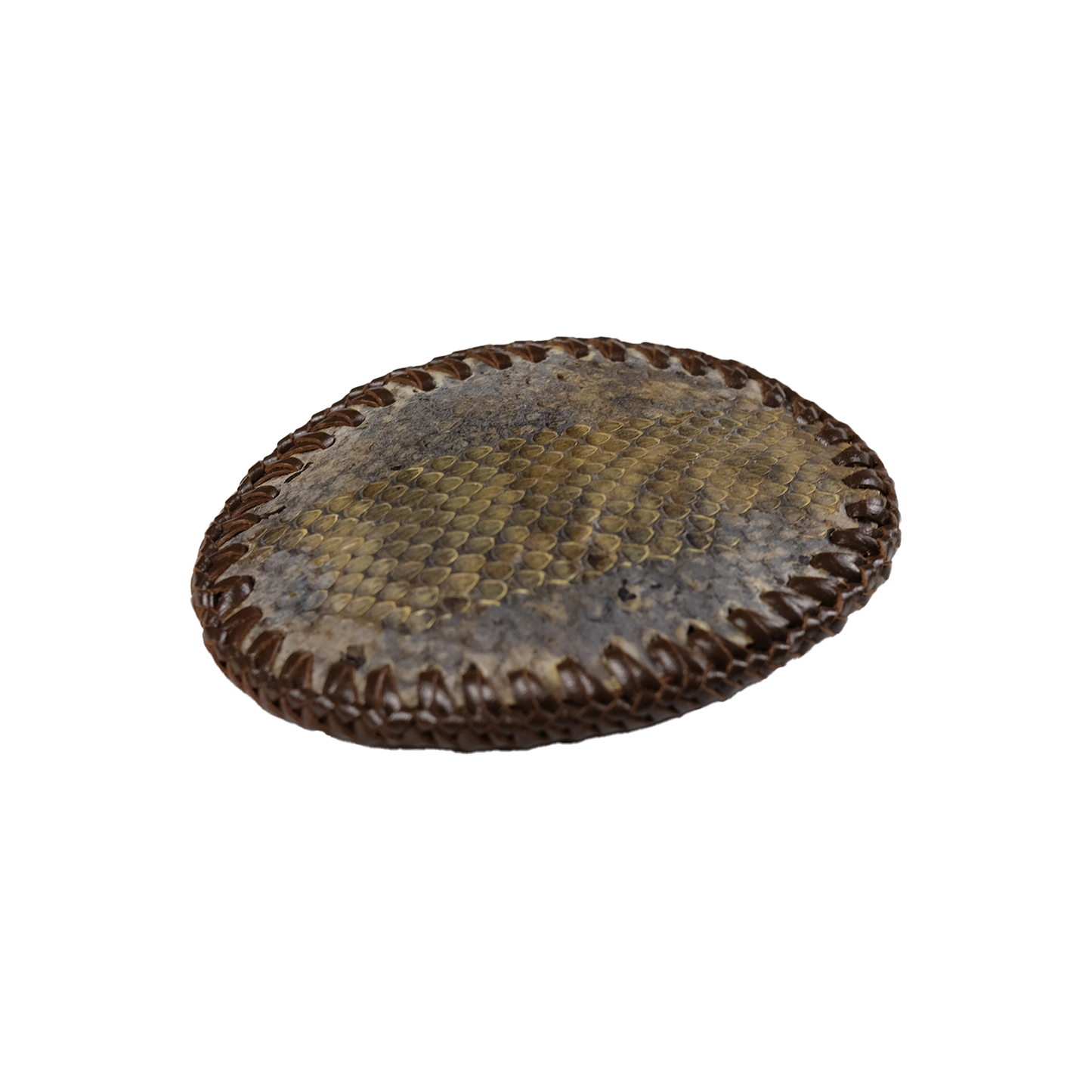 Shedding Snakeskin Belt Buckle