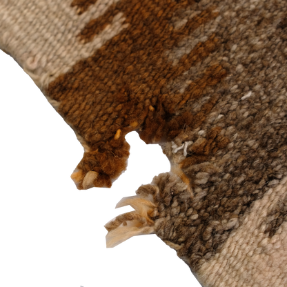 Navajo Rug
