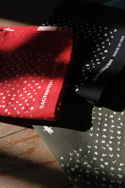 Red Desert Rider Bandana