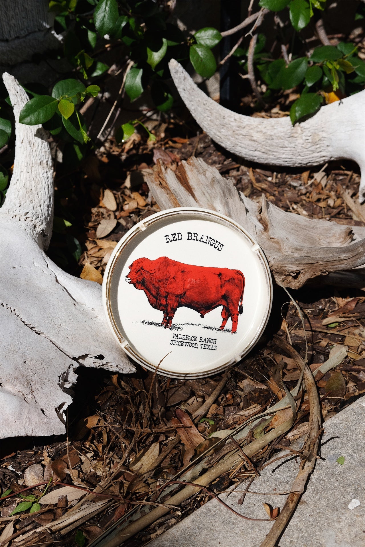 Red Brangus Ashtray