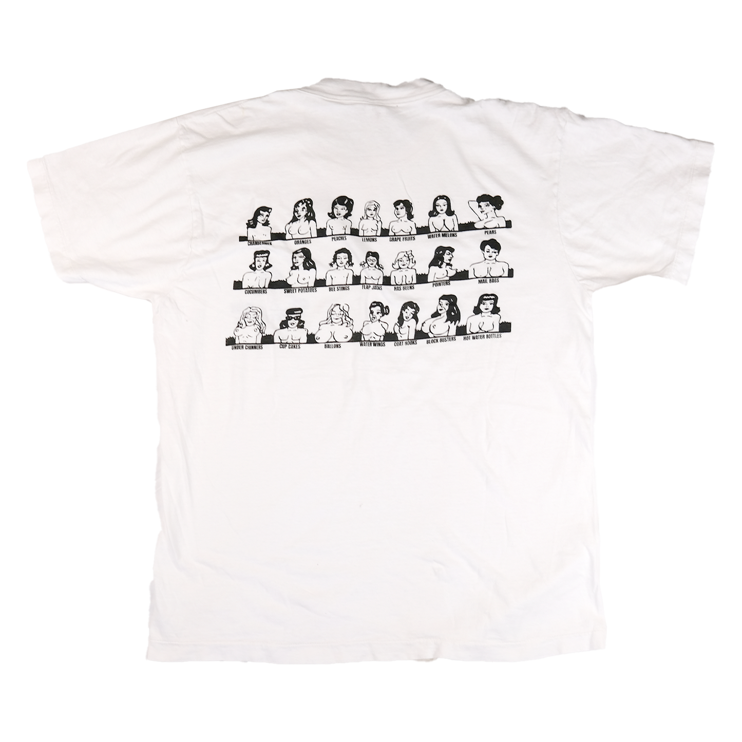 Houston TX Souvenir Tee