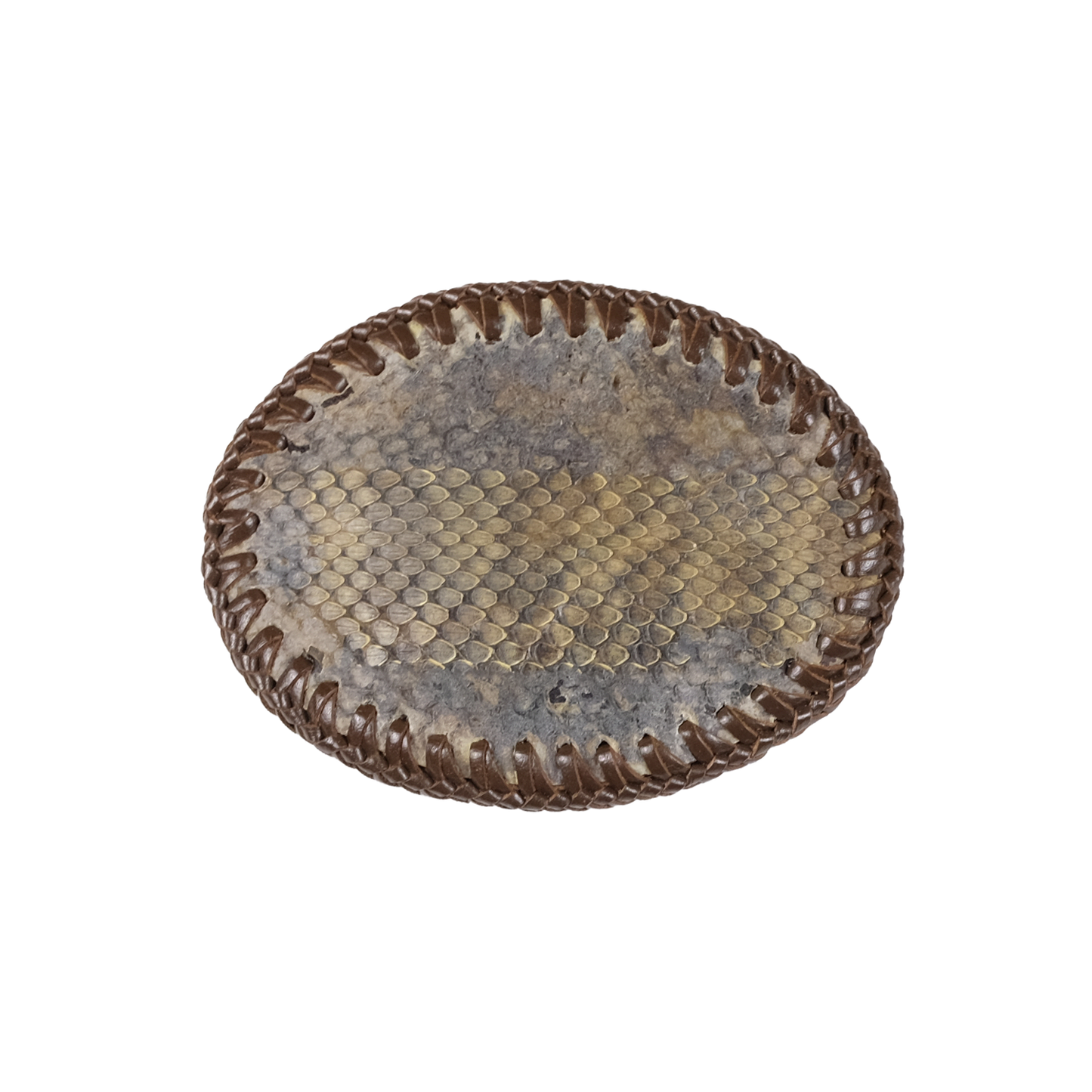Shedding Snakeskin Belt Buckle