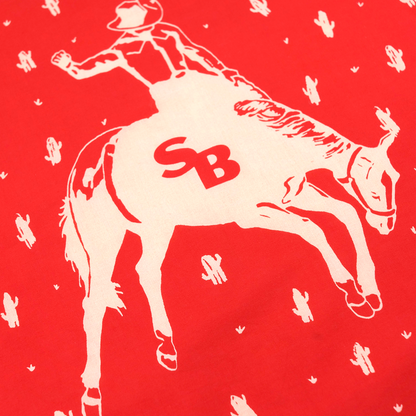 Red Desert Rider Bandana