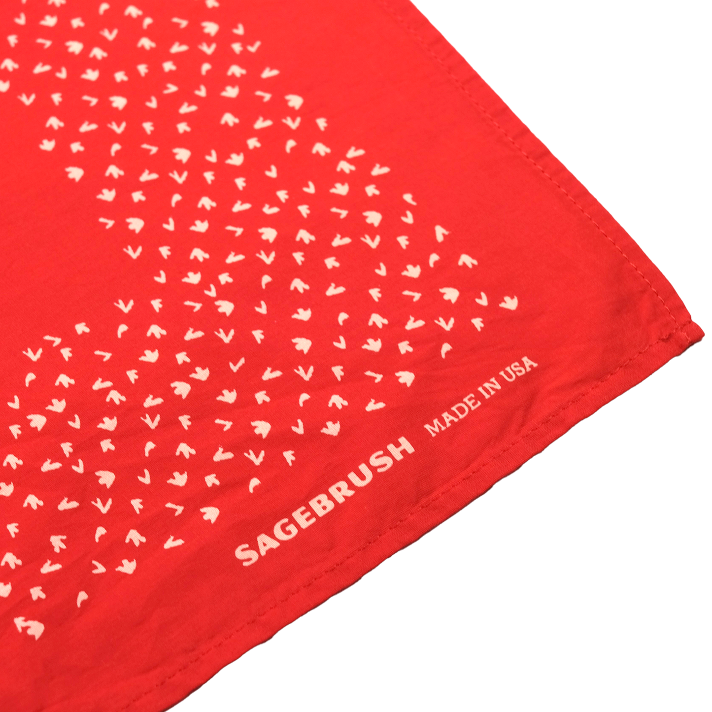 Red Desert Rider Bandana
