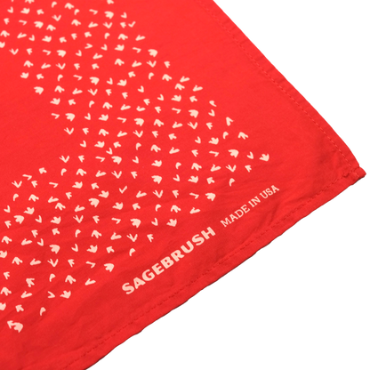 Red Desert Rider Bandana